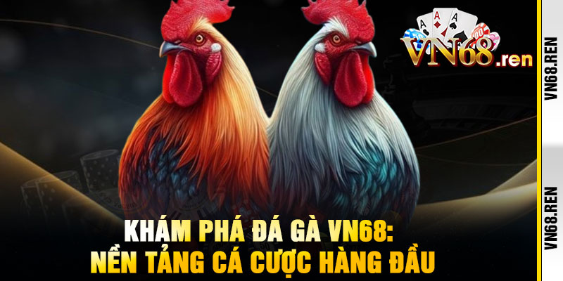Đá Gà VN68 - Đấu trường máu lửa, thắng đậm không khoan nhượng 1 Khám Phá Đá Gà VN68: Nền Tảng Cá Cược Hàng Đầu