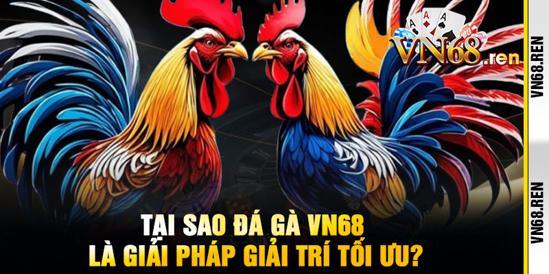 Đá Gà VN68 - Đấu trường máu lửa, thắng đậm không khoan nhượng 2 Tại Sao Đá Gà VN68 Là Giải Pháp Giải Trí Tối Ưu?